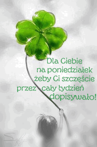 Koniczyna na poniedziałek